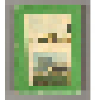 Книга "Новочеркасск". Историко-краеведческий очерк