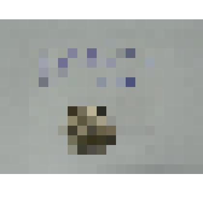 20 копеек 1910 г