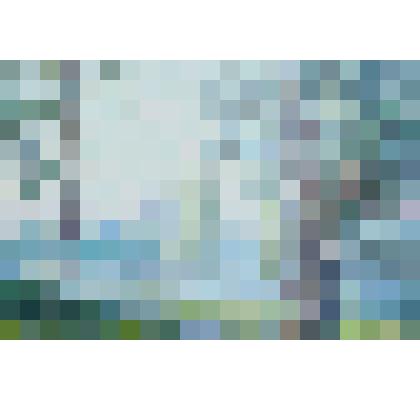 Пейзаж. Летний день