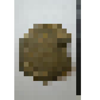 Сосуд. Фрагмент