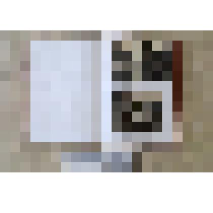 Книга "Огнём и железом"