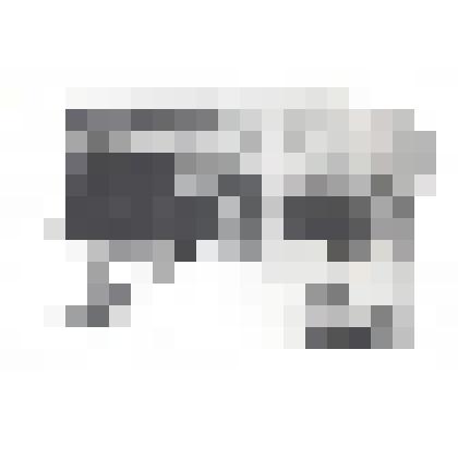 Фотография. Фотокопия. Кузнечно-слесарный цех комбината Крайсо (Красного Союза). 30-е гг. ХХв