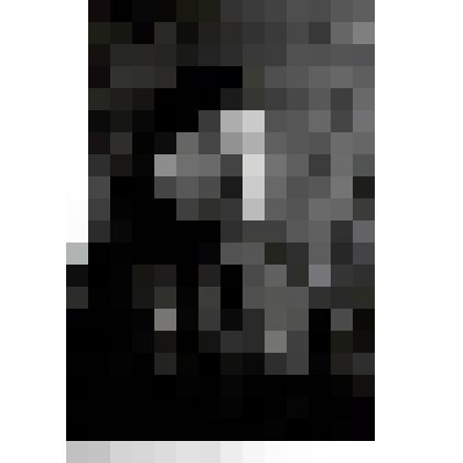 Фотопортрет поясной: Василенко Анна Фоминична, боец особой роты при штабе 316-ой стрелковой дивизии, 1945 г