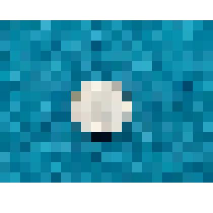 Монета разменная 15 копеек 1955г