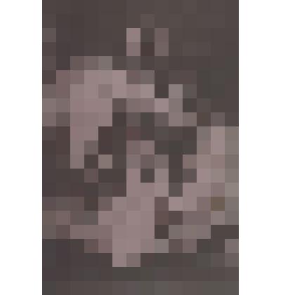 Негатив. Каплунов И.С., майор, командир 53 дивизиона на КП, ул. Верхне - Кордонная