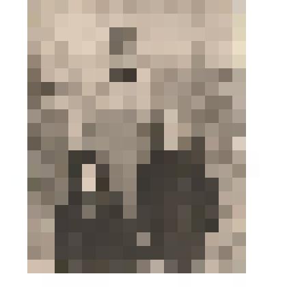 Ф/чб. Васильченко К.Г. с детьми Марианной и Димой на прогулке. Энгельс. 1963