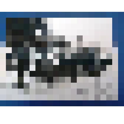 Фотография ветеранов 307 стрелковой дивизии на встрече в Белоруссии. Лето 1985 г