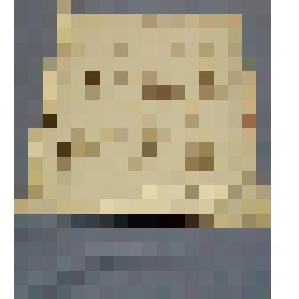 Ботаническая коллекция. Осока пустынная, семейство осоковые, на гербарном листе, окрестности Абакана, северный склон горы Самохвал. Cuperaceae Carex stenophylla waheb