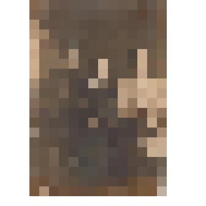 Фотография:семья из 4-х человек