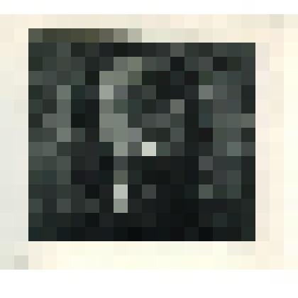 Голова Медного всадника. Иллюстрация в тексте к поэме А.С.Пушкина "Медный всадник". Лист 23