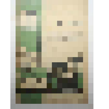 Книга. Пути обобществления животноводства.Типография "Печатный Двор"