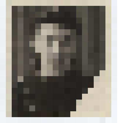 Фотография. Гребенщикова Анна Васильевна