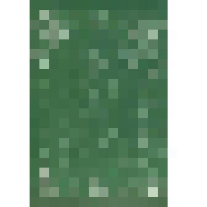 Иллюстрация. Таблица № 77. Выпуск "14-16".
 Из комплекта таблиц "Красота форм в природе"