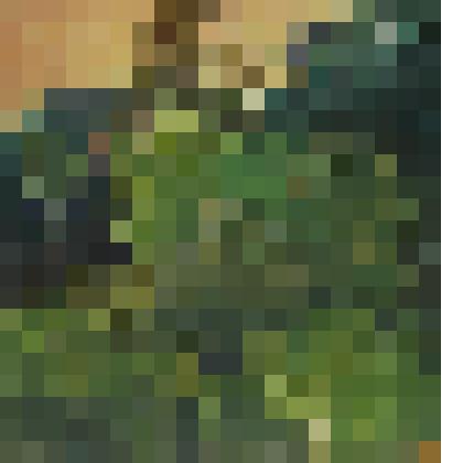 Этюд. Летний этюд