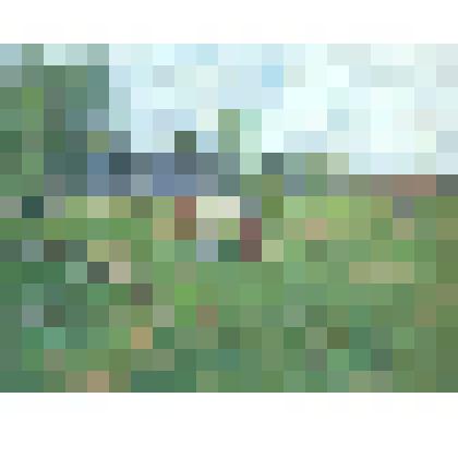 Картина. На зеленом лугу