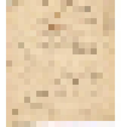 Телеграмма в Чердынь В.О.Алину от И.К. Каузова из Петербурга, 20.01.1907 г