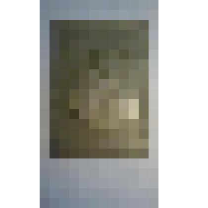 Портрет Ф.М.Достоевского .Барельеф на картоне