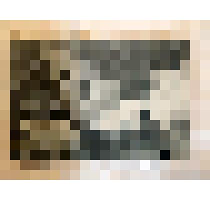 Почтовая карточка от Григорьевой Н.Г