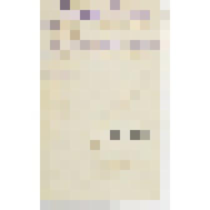 Фото Волошина М.А. в детские годы на коленях у кормилицы. Рядом его бабушка Глазер Н.Г