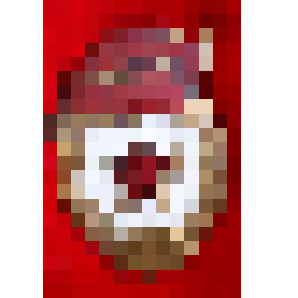 Нагрудный знак «Гвардия»