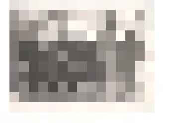 Фотография ч/б. Передовики сельского хозяйства Тюменцевского района