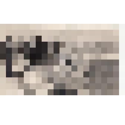 Фото/чб. Костин И.С., директор ЭОМС (ВОЛЖНИИГИМ) с делегацией у водозаборного трубопровода. Энгельс. 1960-е