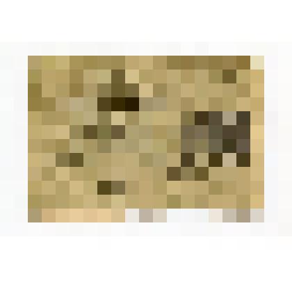 Расчетный знак РСФСР «500 рублей»