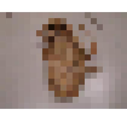 Лапоть (левый)