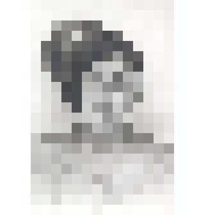 Фотопортрет Ушаков Михаил Гаврилович