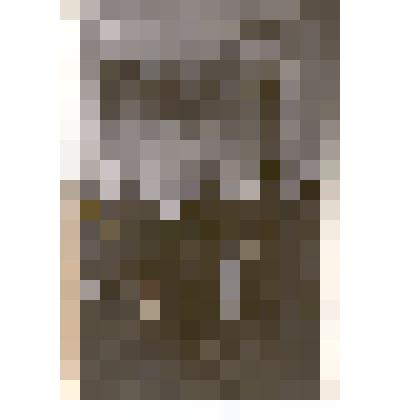 Фотография: участники вечера, посвященного 40-летию окончания Гражданской войны