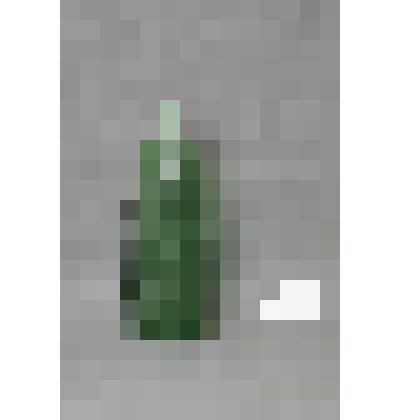 Бутылка пивная