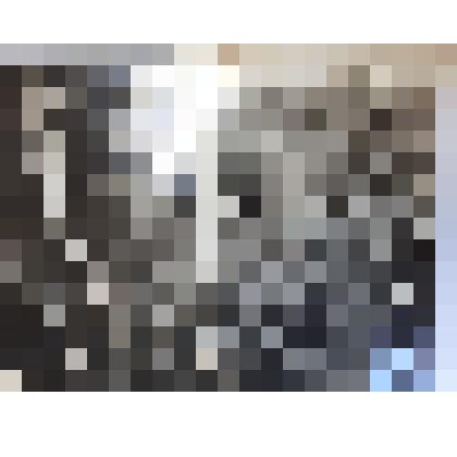 Фотография ч/б школьников 4 "Б" класса средней школы № 1 на могиле Сергея Алексеевича Троепольского, от 09.05.1987 г