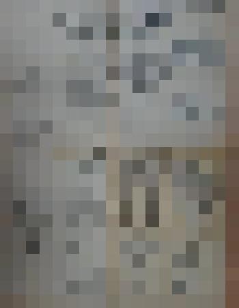 Приложение бесплатное  к журналу "Работница" № 5 за 1950 год