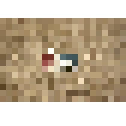 Значок: Артек