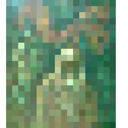 Колдун-ведун