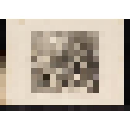 Поездка во дворец. Лист IV из серии "Карьера мота". 1735, из альбома «The Works of William Hogarth»