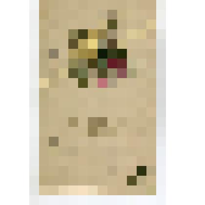 Открытое письмо «С  Рождеством Христовым !»