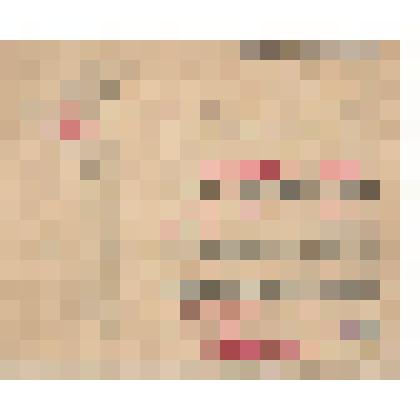 Документ. Удостоверение № 100 Воронежского Губполитпросвета Лебедеву Федору Парфеньевичу в том, что он состоит на службе в Губполитпросвете и является прикомандированным из Политического Отдела 2-й Особой Армии Республики.
  Из коллекции материалов о Лебе