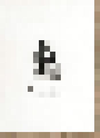 Портрет А.С. Хомякова (1804 - 1860). С фотографии А. Бергнера. Портрет-заметка П.И. Бартенева