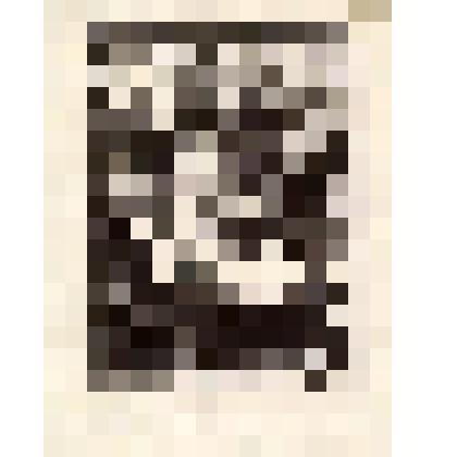 Экслибрис Чернышевской Н.М