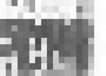 Фотография Бородин Г.П