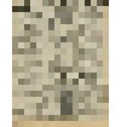 Газета. "Красный кавалерист" № 259