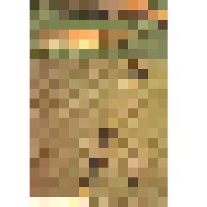 Открытка "Нож охотничий и ножны. Наградная шашка. Фрагмент" // Набор открыток "Искусство мастеров Златоуста" в оригинальном конверте