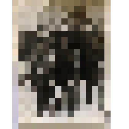 Фото Алексы Н.И. с однополчанами Германия г. Брандербург 1944г