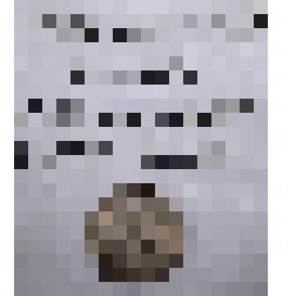 Монета. Россия