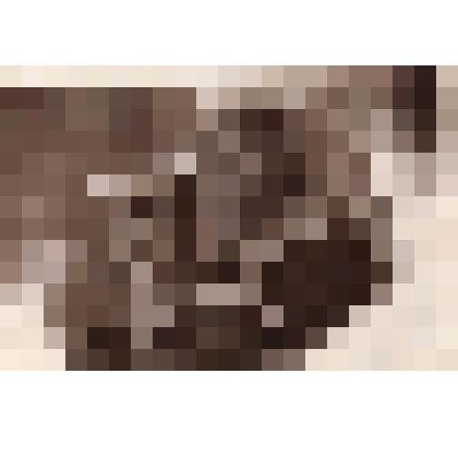 Фотография Воронин Георгий Афанасьевич - участник Великой Отечественной войны 1941-1945 гг