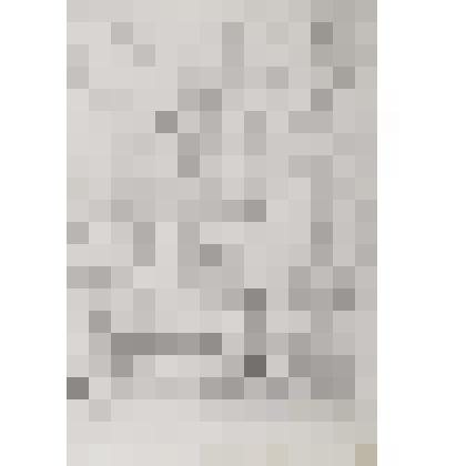 Рисунок «Лизавета»