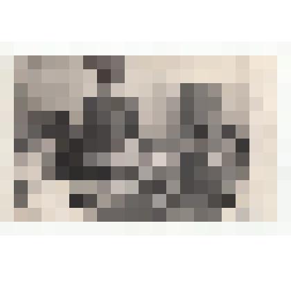 Фото/чб. Костин И.С., директор ВОЛЖНИИГИМ (стоит в центре) на рабочем совещании с делегатами из ЧССР. Энгельс. 1965