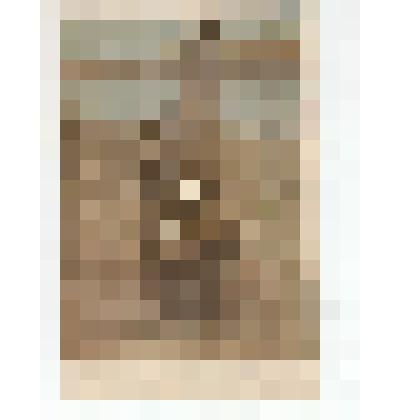 Ф/чб. Муханов Александр Александрович (1922 г.р.,) работник Костьзавода, ретушор Немкино. Энгельс, АССР НП. 1940-1941