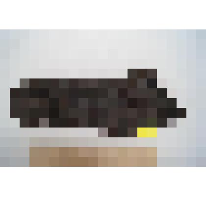 Кожаный сапог. Фрагмент